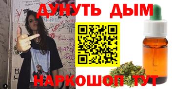 тгк Кингисепп