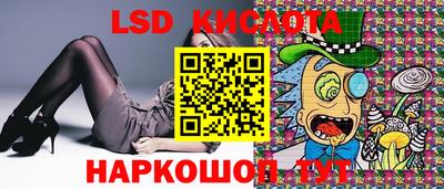 тгк Кингисепп