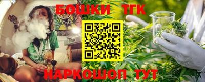 тгк Кингисепп