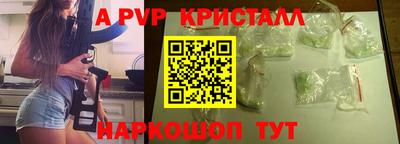 тгк Кингисепп
