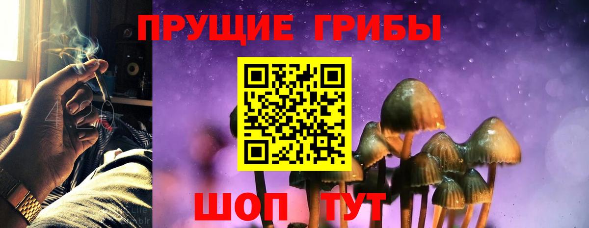 Куйбышев  Псилоцибиновые грибы Psilocybine cubensis  Вход с VPN  Галлюциногенные грибы ЛСД 